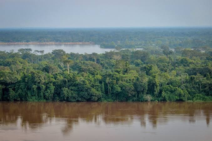 Dr Congo adopts 2026-2035 national forest policy to strengthen Congo basin conservation and climate resilience