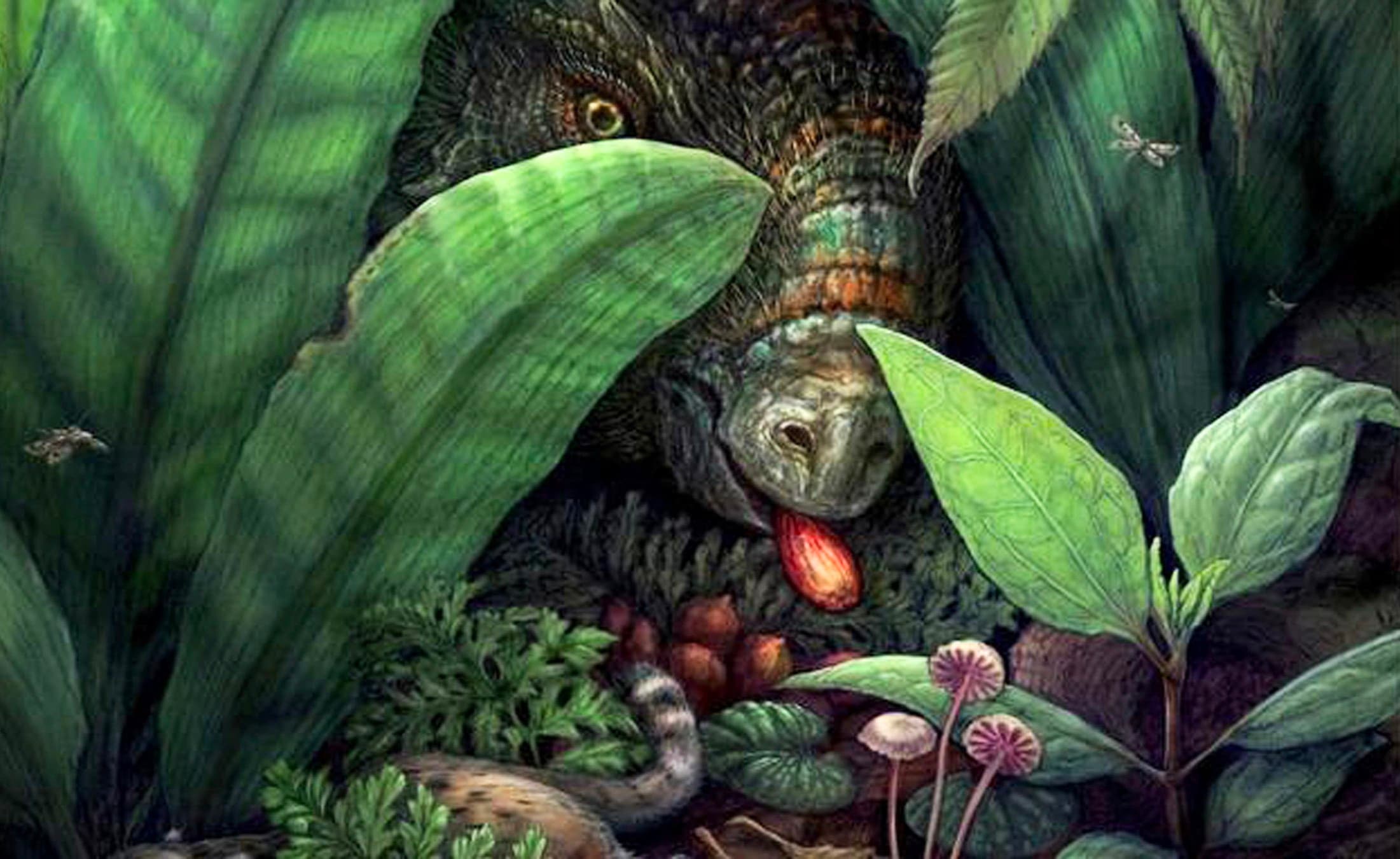 Dinosaurs may have shaped the evolution of fruit-bearing plants