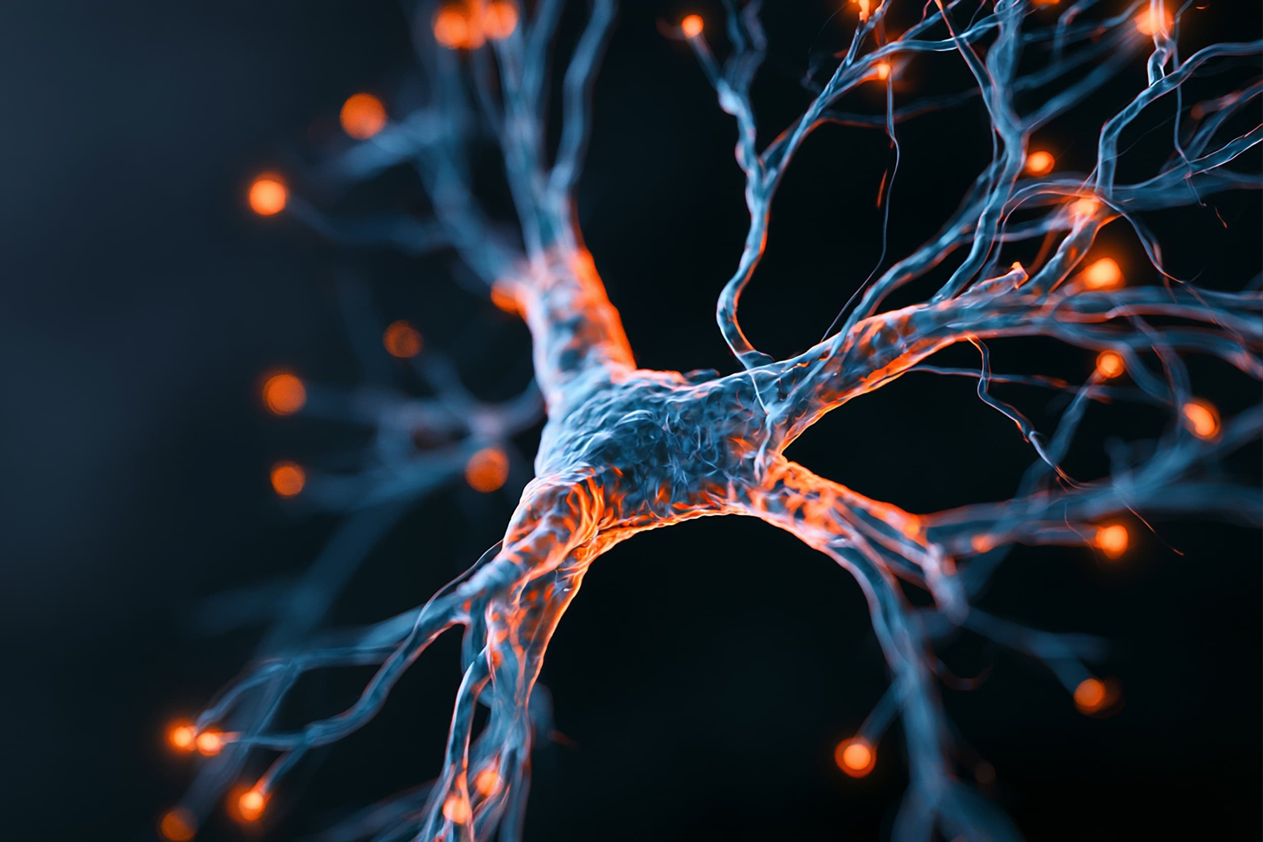 Human intelligence may begin with the power of a single brain cell