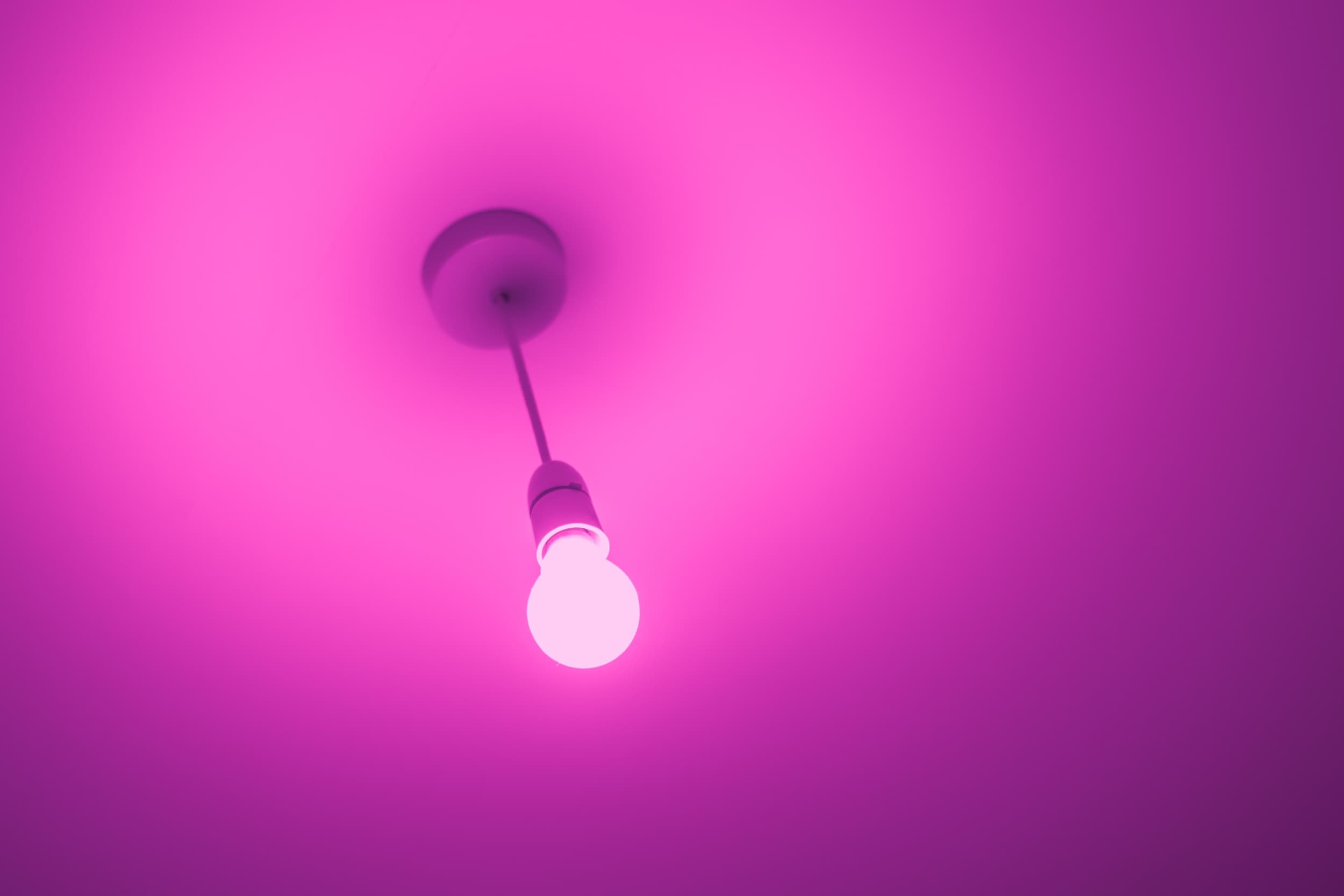 Philips Hue Offers Free Bridge Pro Replacements After Firmware Update Triggers Smart Lighting Firmware Bug