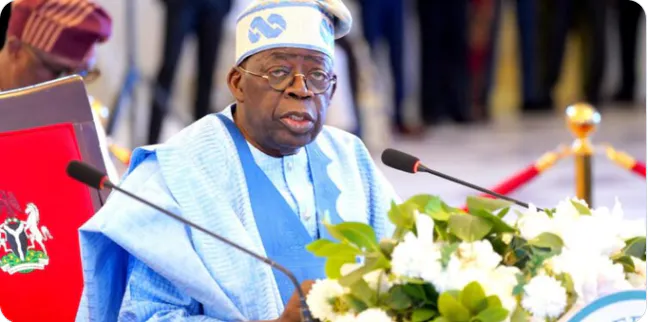 Tinubu orders probe of Meta, X, others