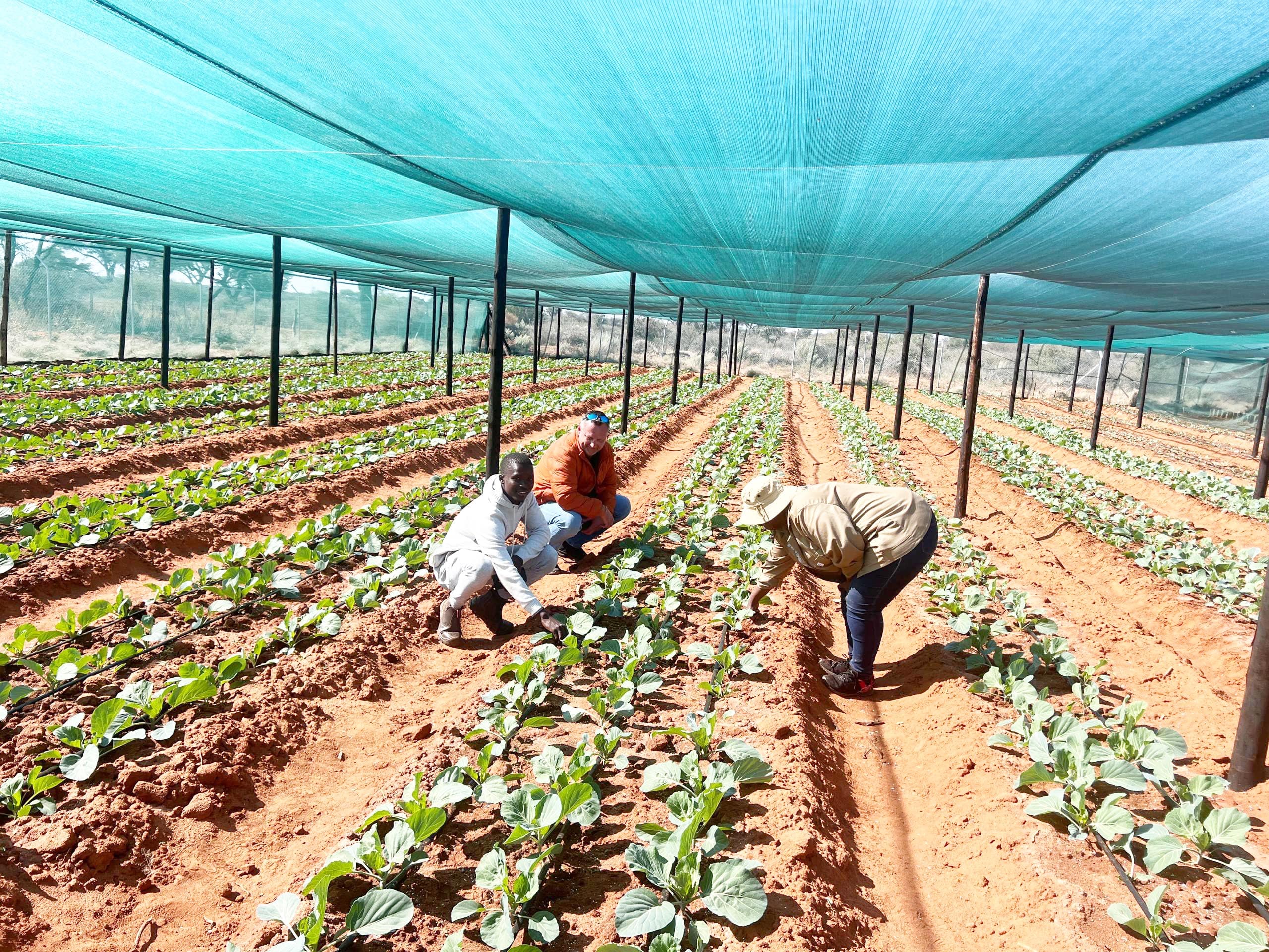 Gobabis community garden transforms lives