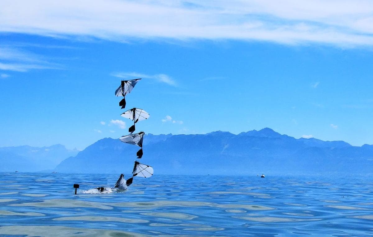 MIT Scientists Create Robot That Can Fly and Swim