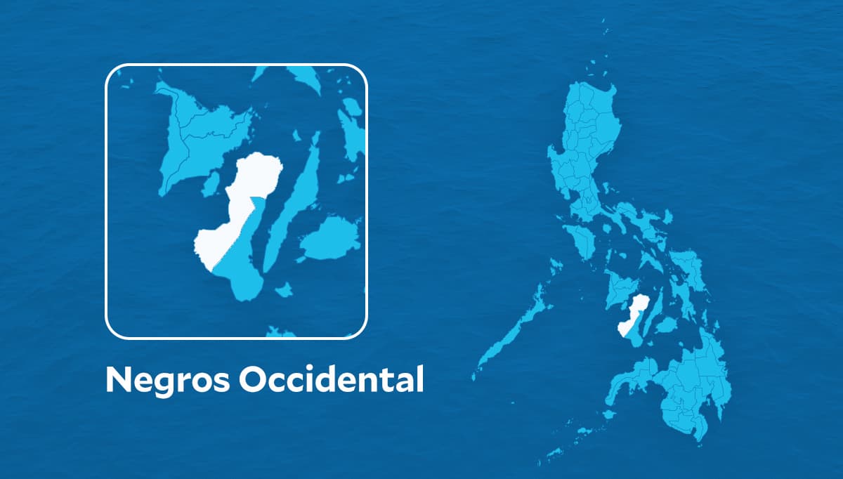 Hog deaths in Negros Occidental 'under control' amid ASF outbreak