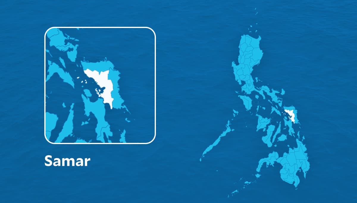 Samar logs 225 suspected chikungunya cases, surveillance up