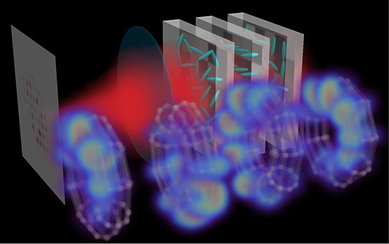 Programmable light simulates quantum matter across 300 processes without bigger circuits