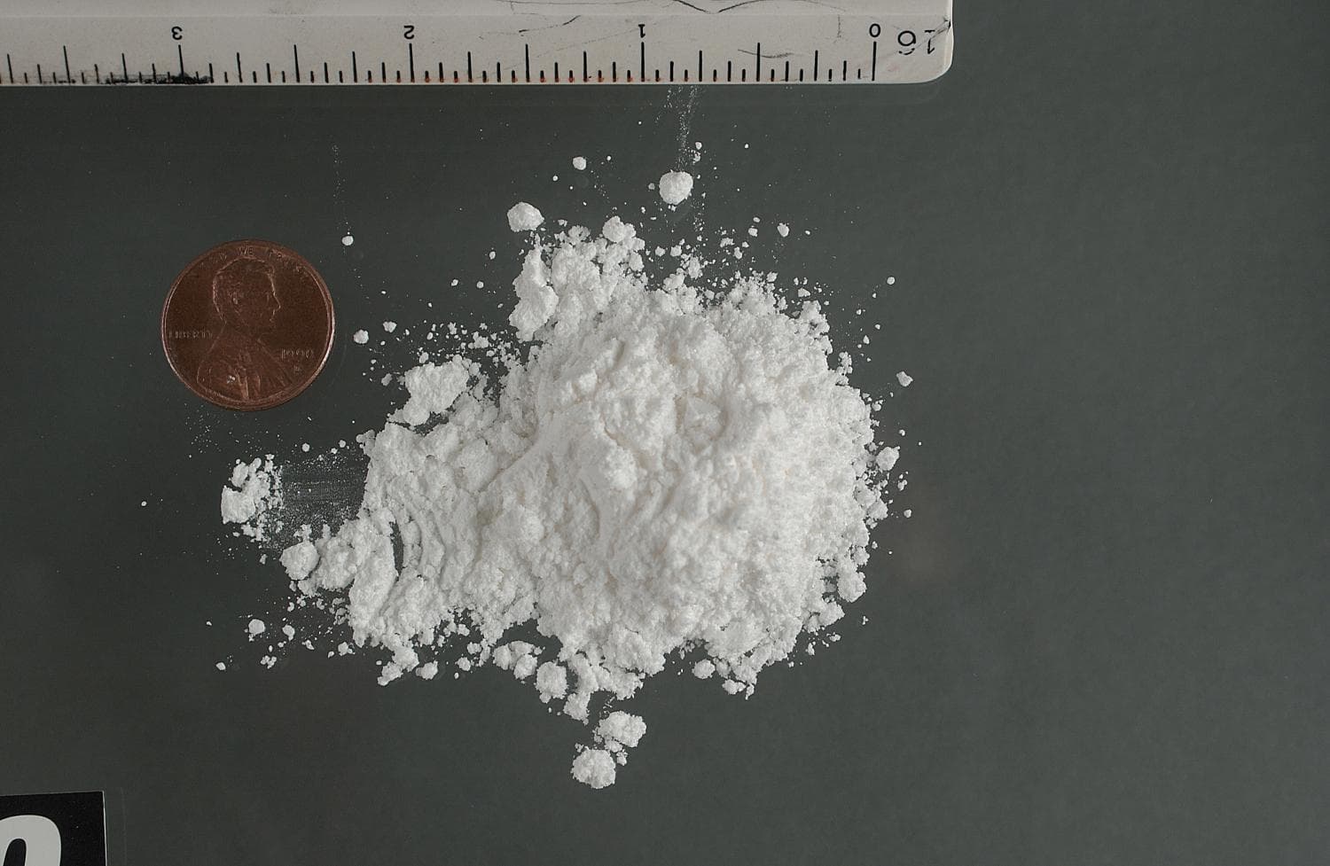 Just one exposure to cocaine alters mouse brain cells for 2 weeks, research reveals