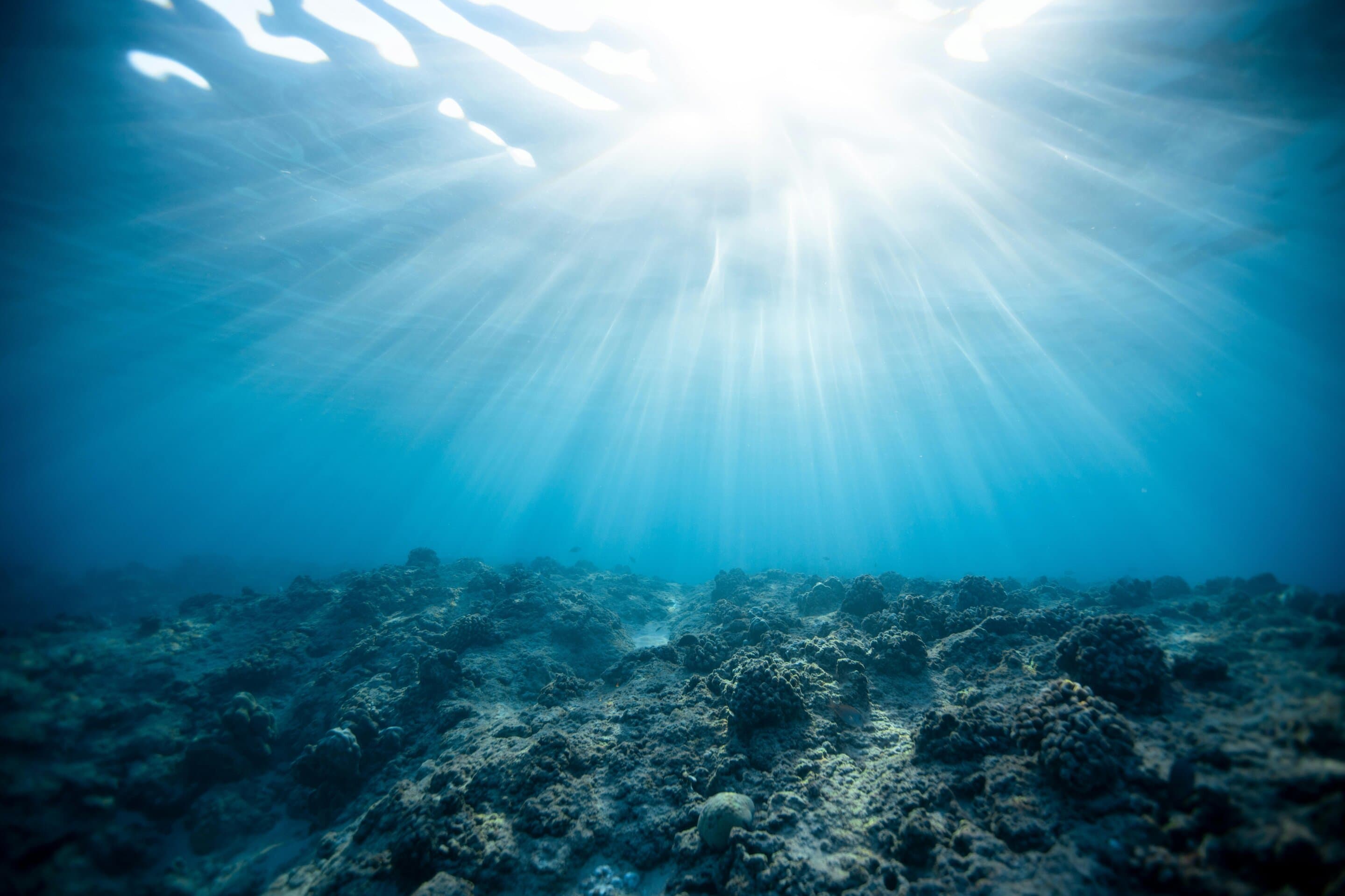 In deep oceans, evolution is supercharged. This diversity could help unlock humanity's greatest challenges