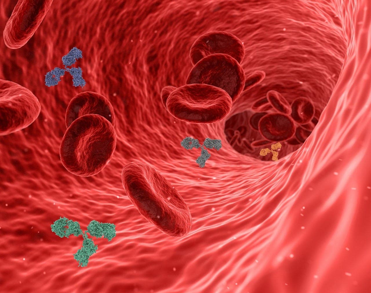 POZ: HIV can convert T cells from helpers to killers