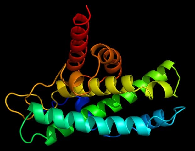 Imaging technique uncovers how copper imbalance may contribute to neurodegenerative diseases
