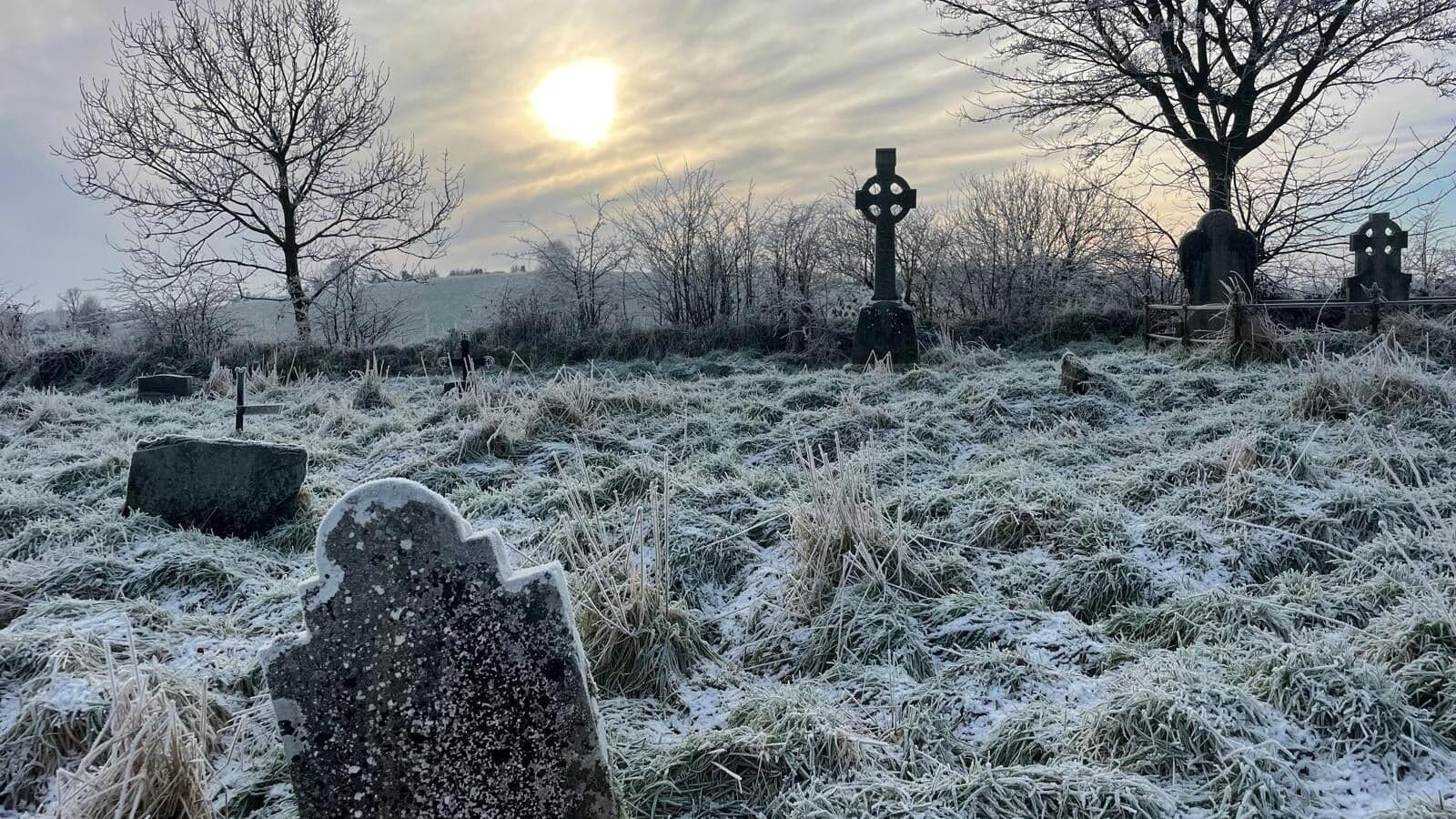 changes in a century of Irish mortality