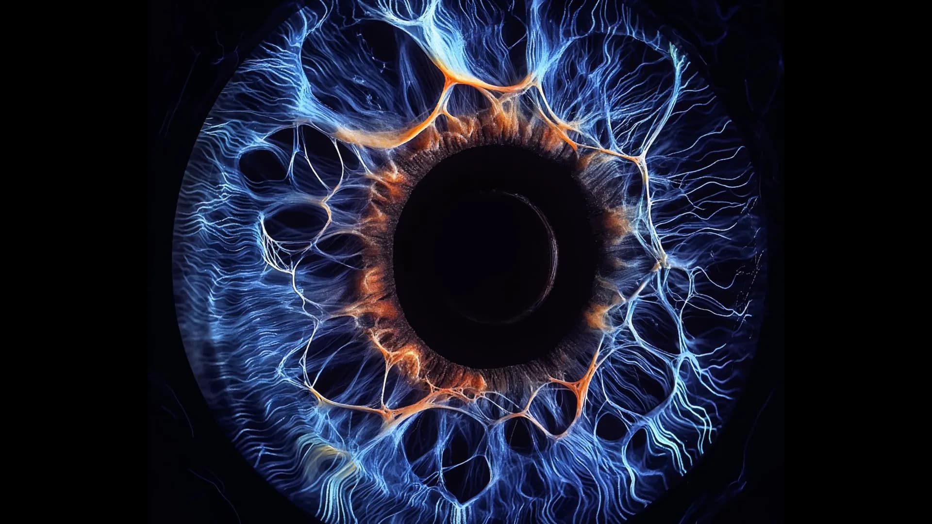 Yale scientists found a hidden network inside the eye