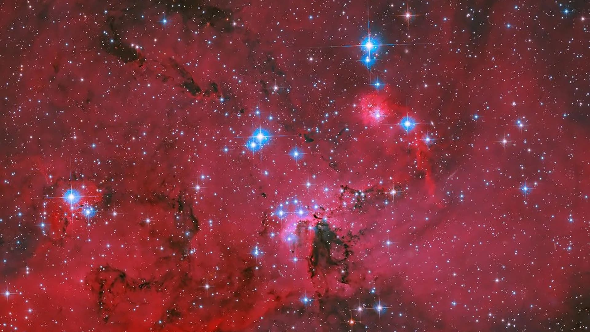 NASA's Hubble captures a crimson stellar nursery sparkling with blue and white stars