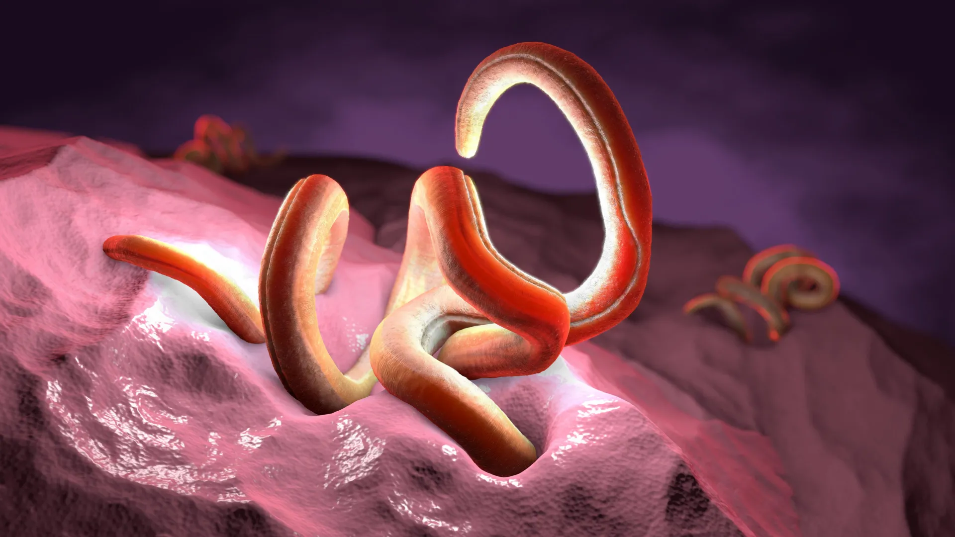 Scientists discover the one nutrient beneficial parasites can't live without