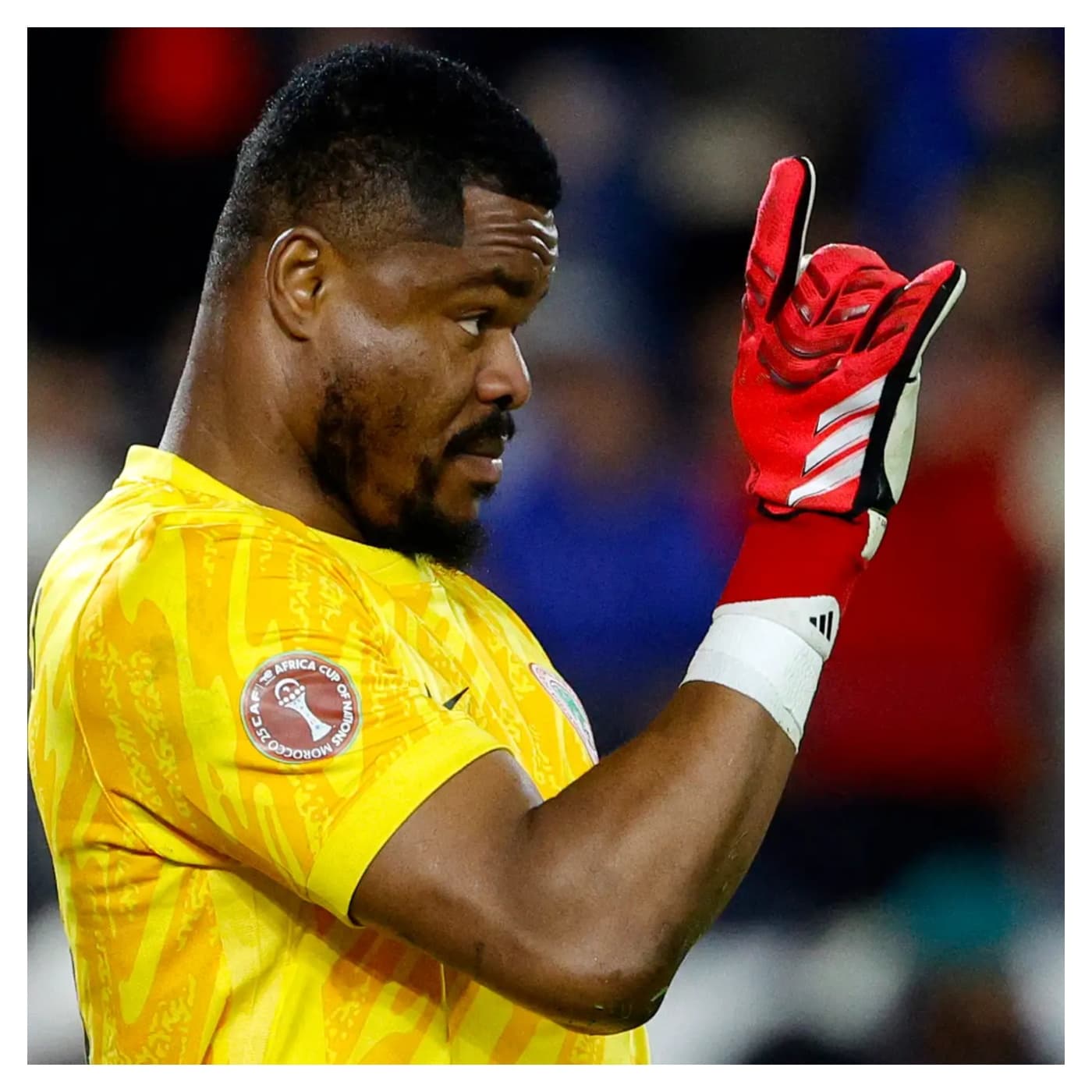 Transfer: Nwabali re-joins Chippa United