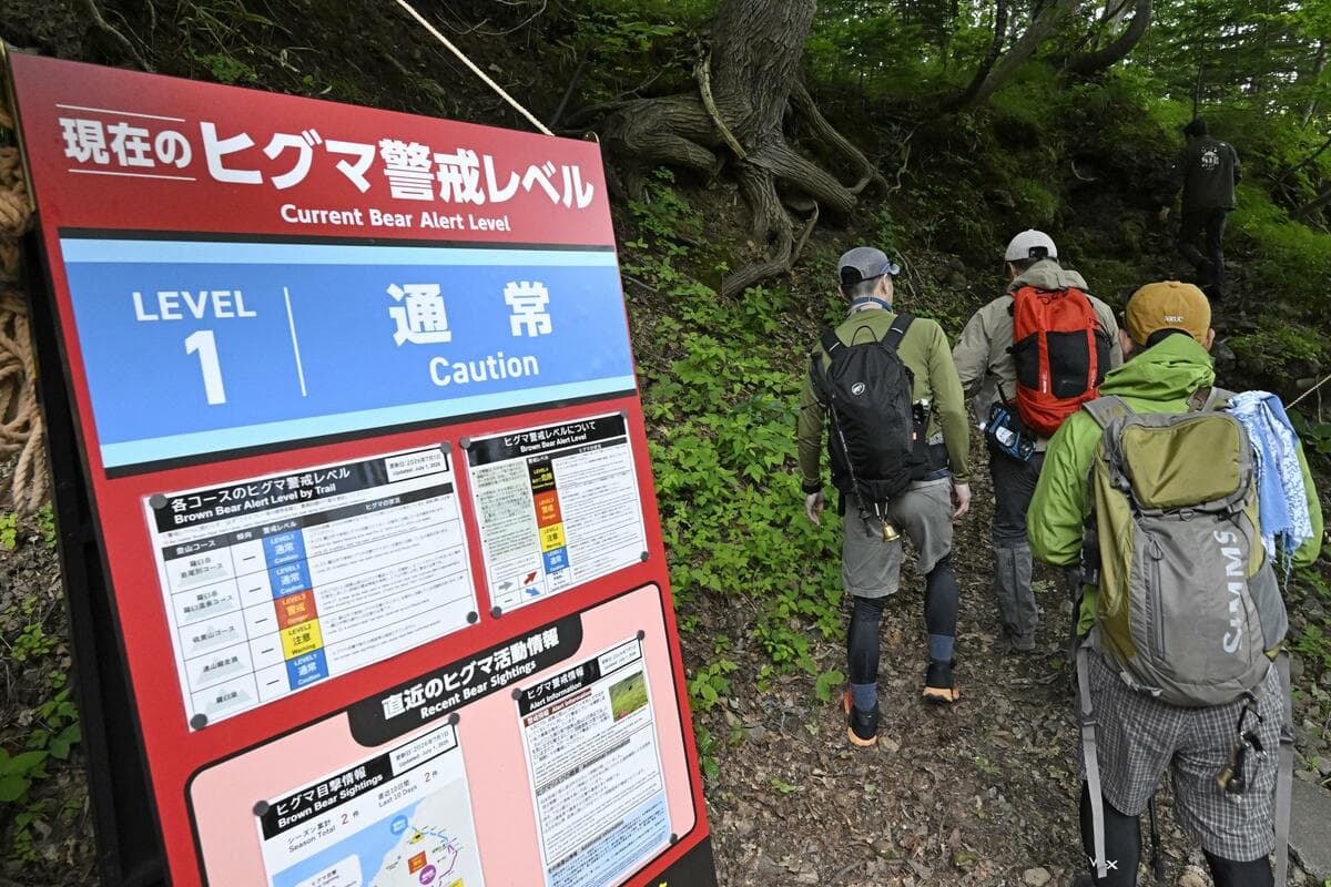4 climbers rescued by helicopter after encountering bear in northern Japan