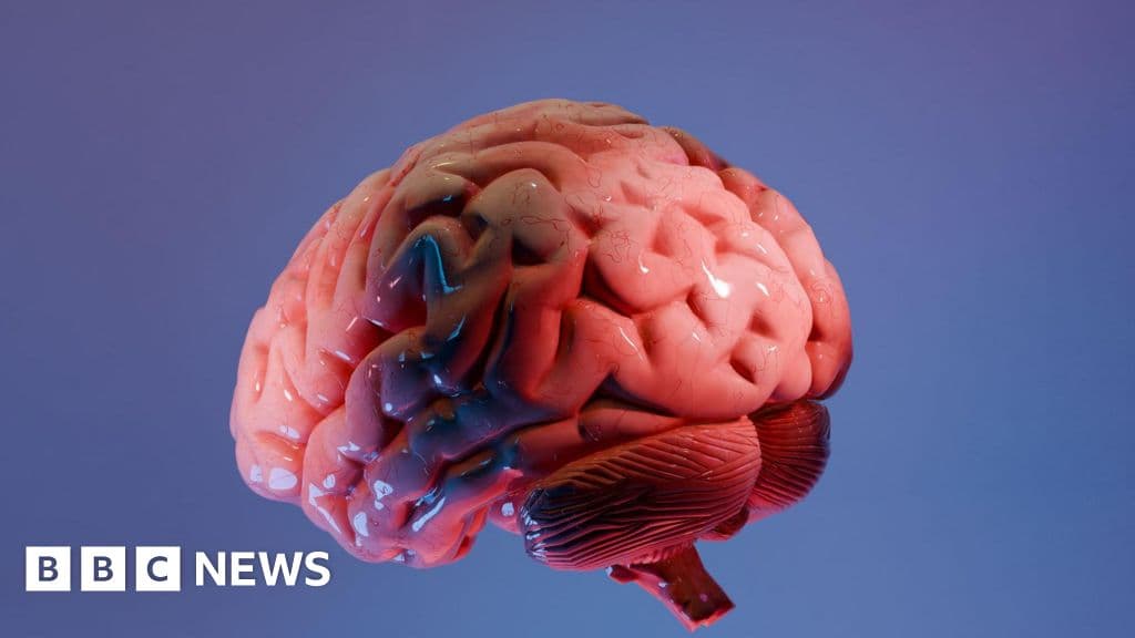 How Indian scientists are mapping the brain's last frontier - BBC