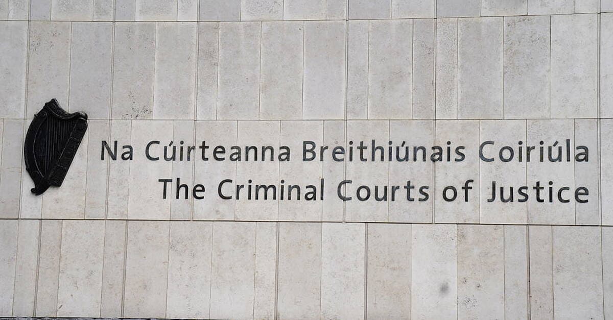 Dublin street 'one-punch' victim lay for two hours before help arrived