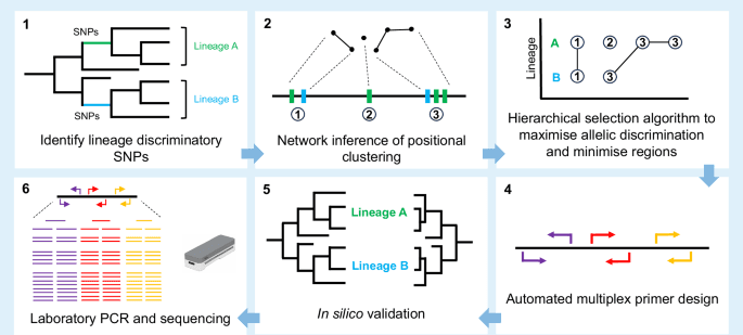 Phylo-Plex: a phylogenetically informed, low-cost amplicon sequencing platform for deployable high-resolution genomic epidemiology