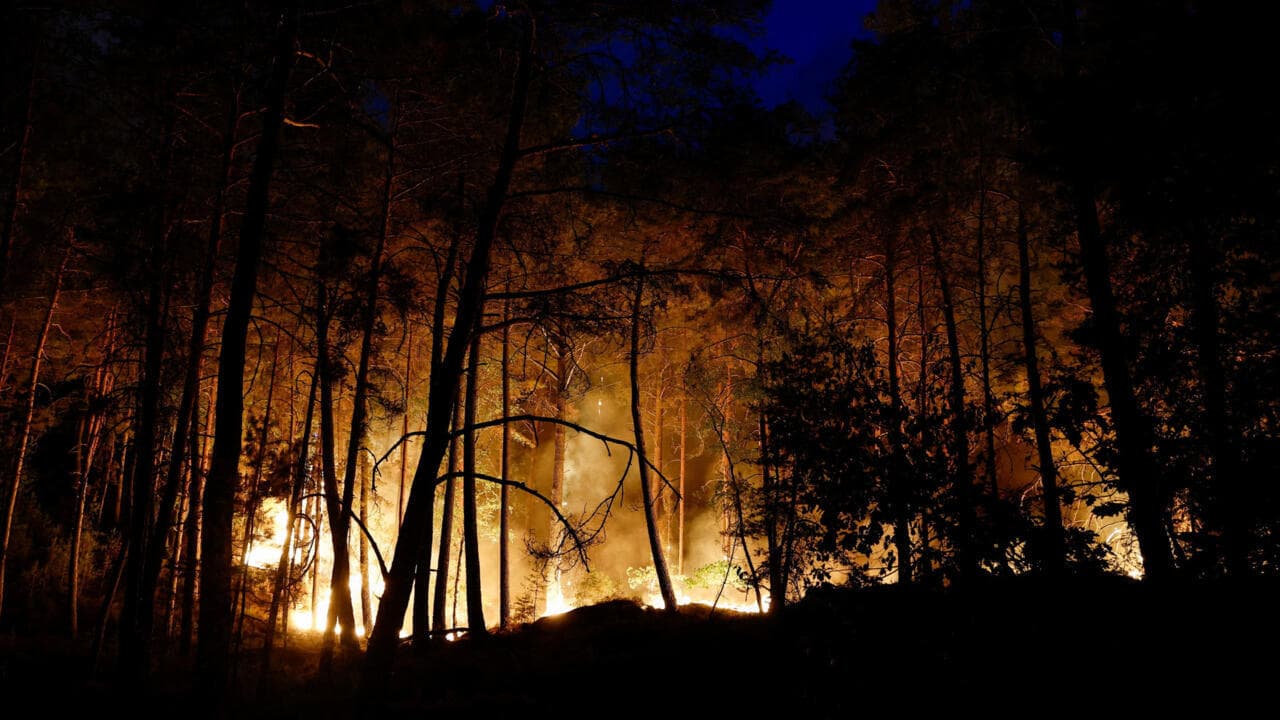 Fontainebleau forest near Paris hit by 'virulent' wildfire - France 24