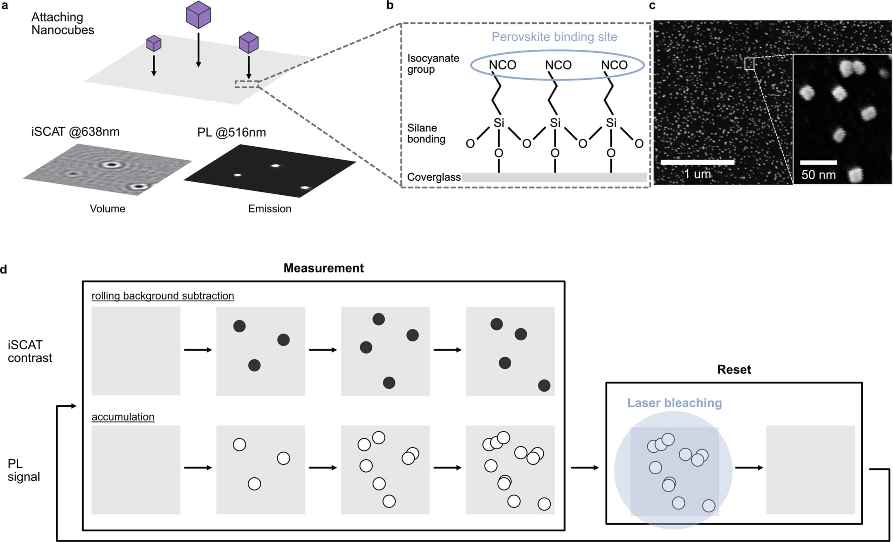New method brings single-particle quality control to nanocrystal manufacturing