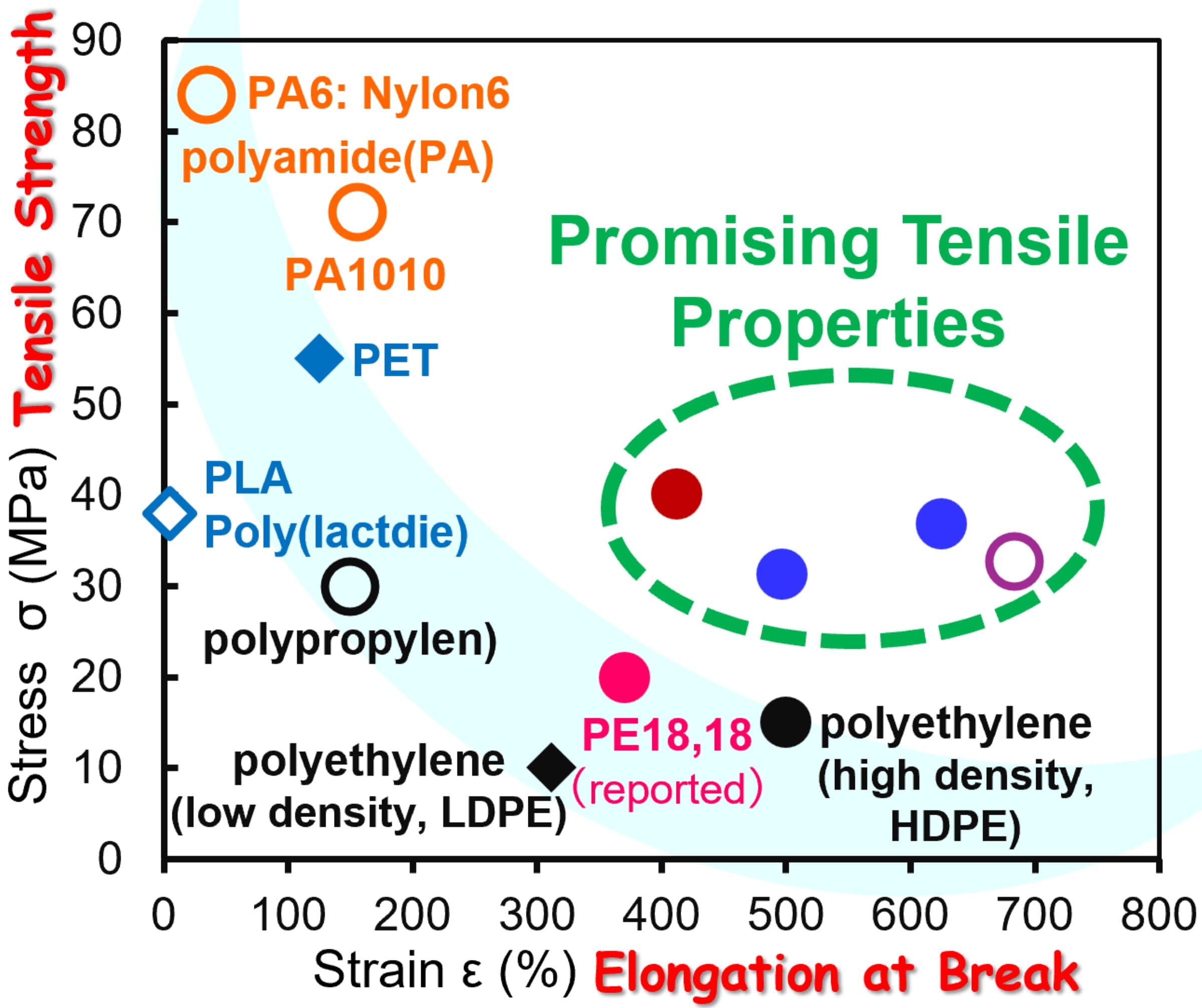 New biobased polymers exhibit excellent tensile properties beyond polyolefins