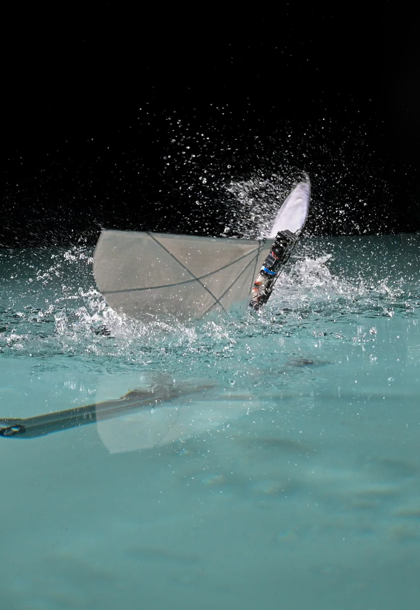 Birdlike robot swims underwater, then flaps into flight without paddling - Tech Xplore
