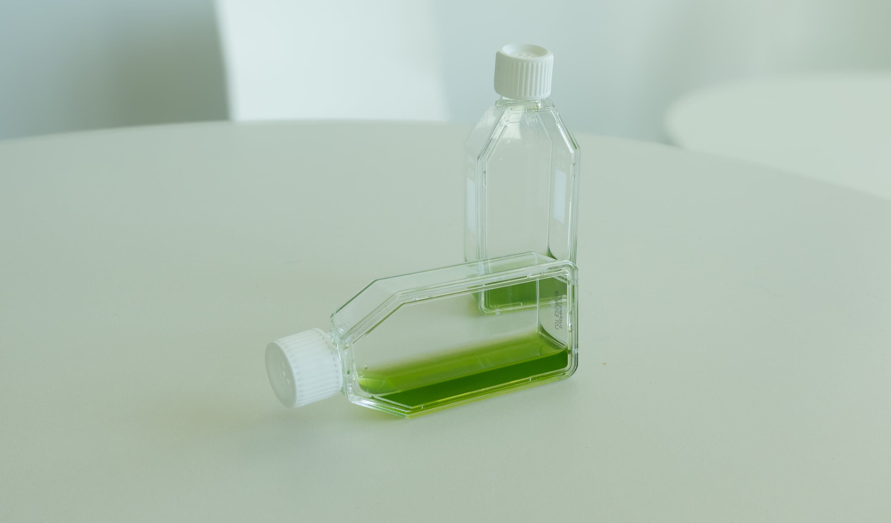 Moderate warming rewires one-third of microalga's genes, study finds