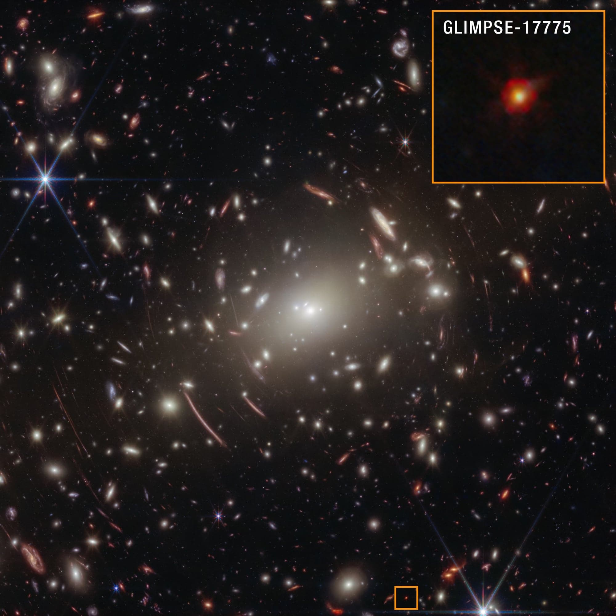 The James Webb Space Telescope found tiny “little red dots” that looked like impossibly compact galaxies — but astronomers now suspect many may be “black hole stars,” young black holes wrapped in gas