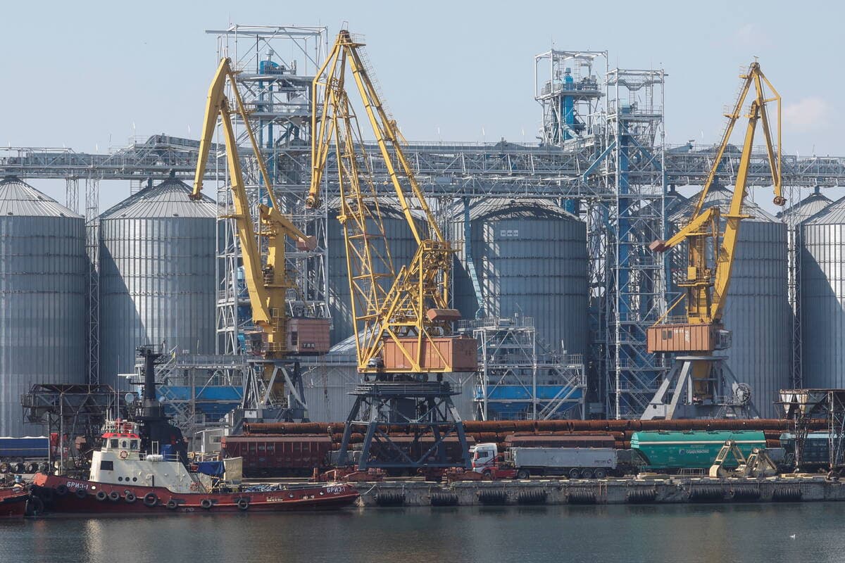 Black Sea conflict weighs on wheat after Sea of Azov attacks - The Western Producer