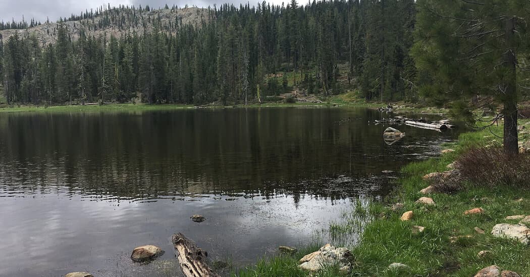 U.S. Forest Service Employees Are Freed After 15-Hour Hostage Ordeal