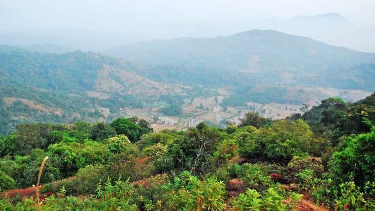 Expert panel against approving ₹10,000 crore Sharavathi Pumped Storage Project citing irreversible ecological harm