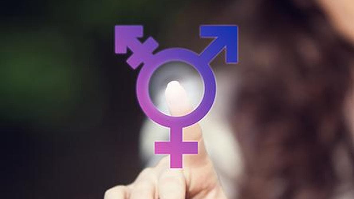 Madras High Court questions State on providing horizontal reservation for transgender persons in government jobs