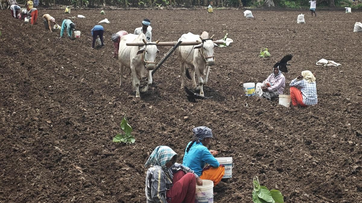 Prospects of kharif cultivation turns bleak in Telangana with monsoon failure