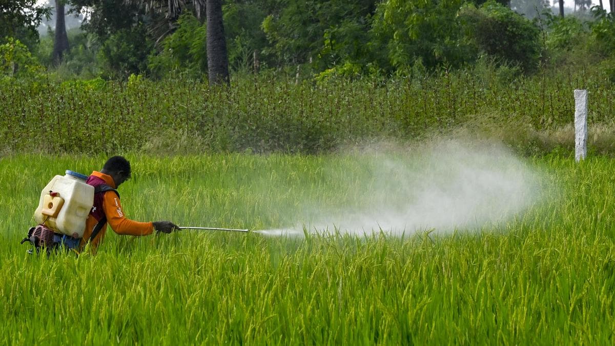 One body, multiple pathways: where India is going wrong in regulating pesticide exposure