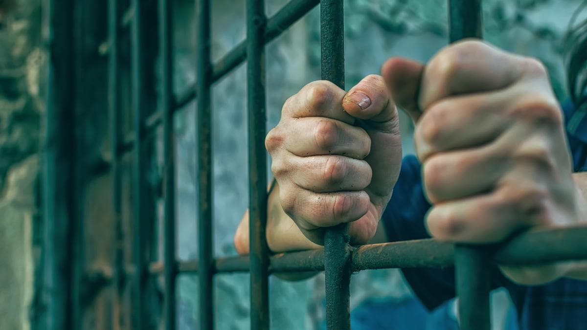Two arrested for selling forged documents online