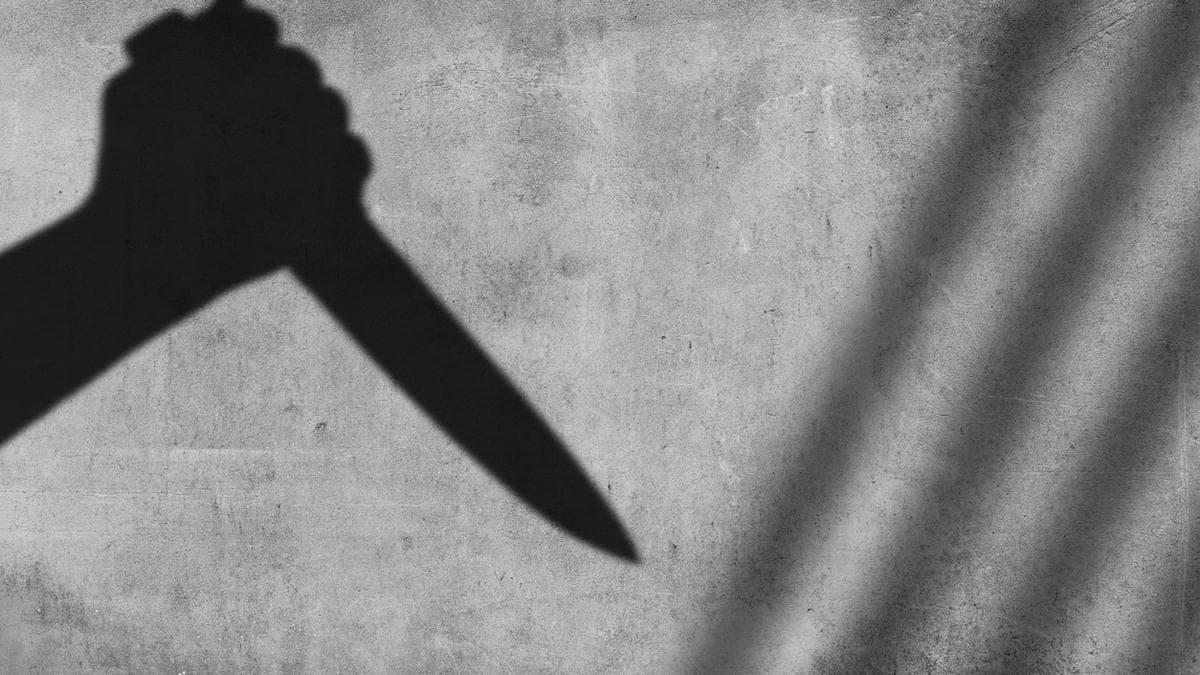 T.N. teen tourist stabbed after late-night music dispute in Kerala’s Varkala; two arrested