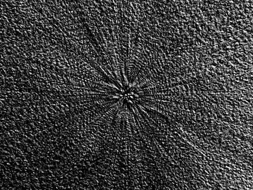 Magnetic Clue To Life's Origins