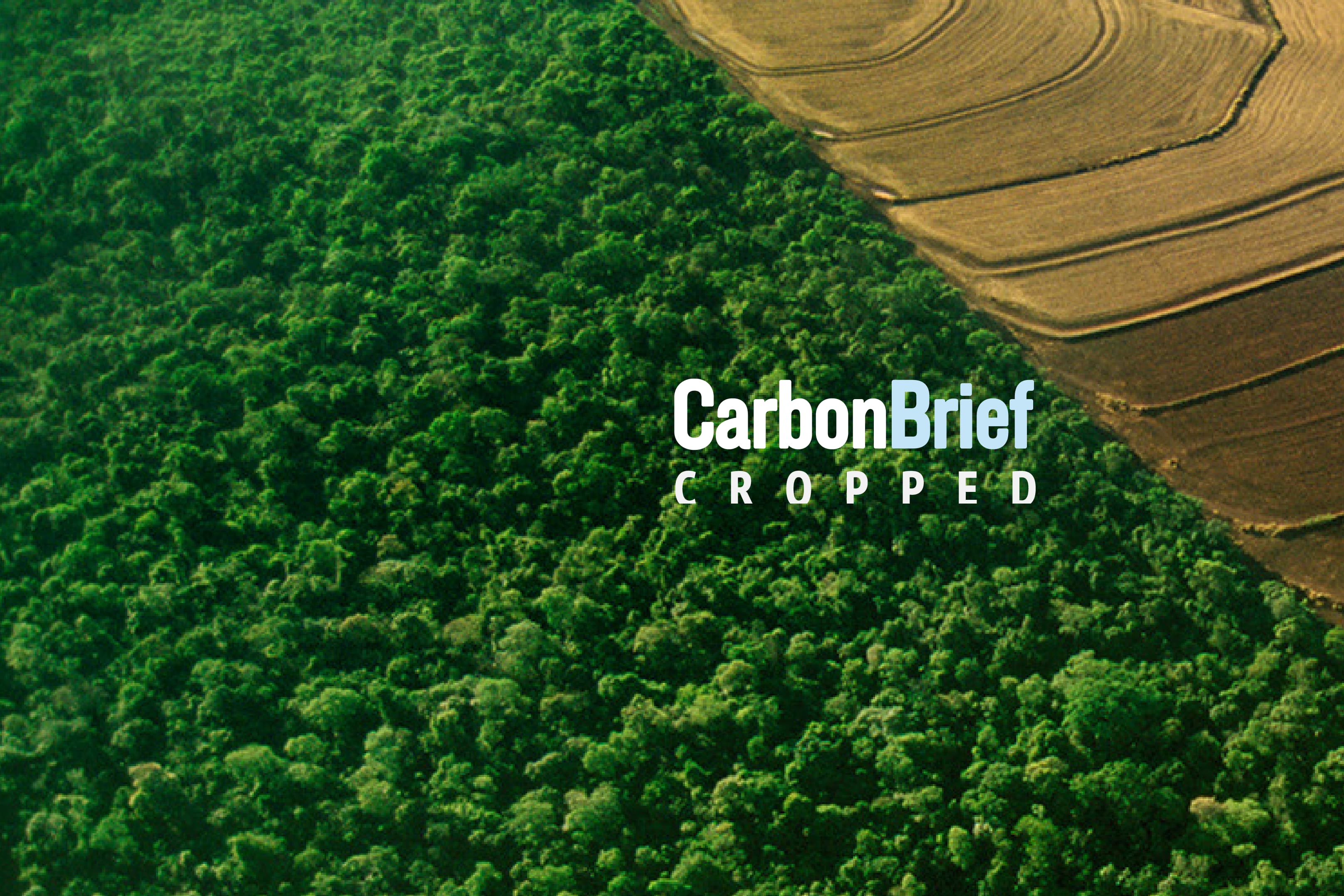 Cropped 15 July 2026: Uganda starves | Trump opens endangered habitats | UK cuts rainforest aid