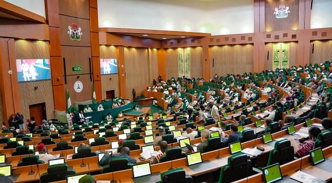 Rowdy Session In House Of Reps Over Motion On Budget Implementation