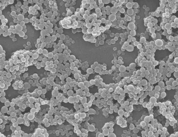 New method improves understanding of drug delivery nanoparticles